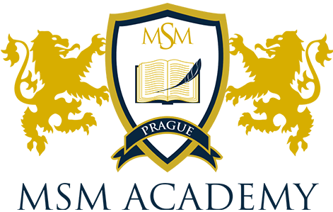 msm academy logo
